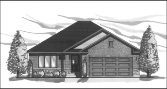 boxwood plan